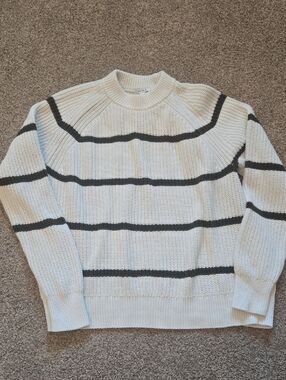 pistola Edie Raglan Crewneck in Olive Stripe